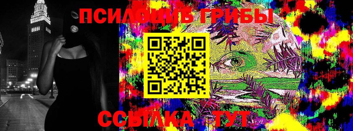 Всеволожск  Галлюциногенные грибы мицелий  Вход с VPN 